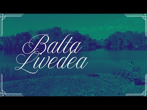 O iesire scurta cu familia pe Balta Livedea