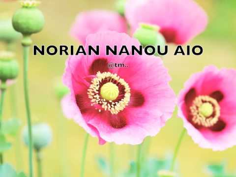 NORIA NNANOU AIO by Brian Taki - Kiribati@tm..