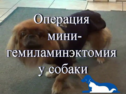 Болит в пояснице после наклонов Подольск центр лечения заболеваний позвоночника