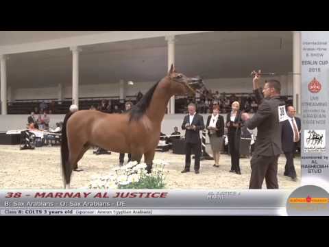 Berlin Cup Werder 2015 - Colts 3 years old (Class 8) - N.38 MARNAY AL JUSTICE