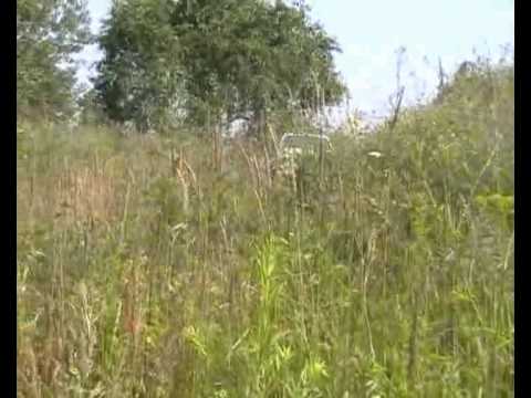 Rajd Puchar Lata 2006