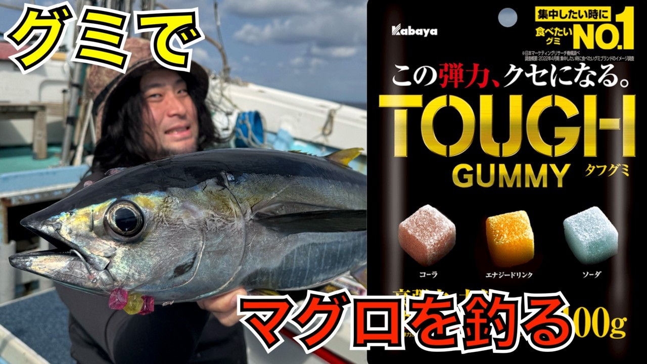 タフグミでマグロを釣る