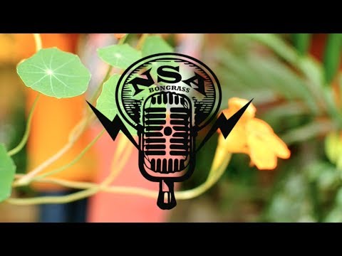 Dakhina Baataash + Soldier’s Joy #bongrass