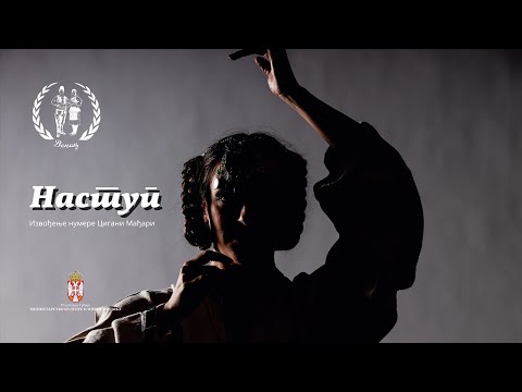 Cigani Mađari | Ansambl Narodnih Igara i Pesama Venac - Kosovo i Metohija