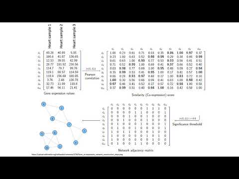 MCB 182 Lecture 11.5 - Co-expression networks
