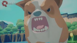 VideoImage1 Squirreled Away