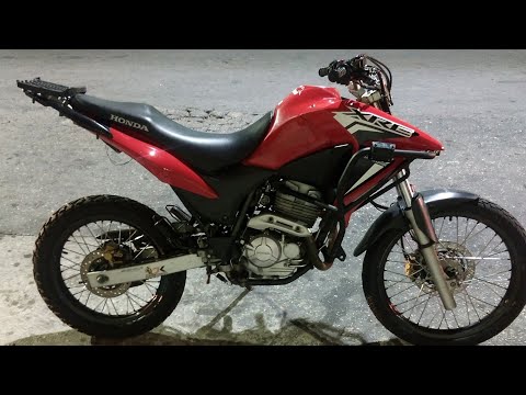 VOLTA PRA CASA O CÃO ARREPENDIDO