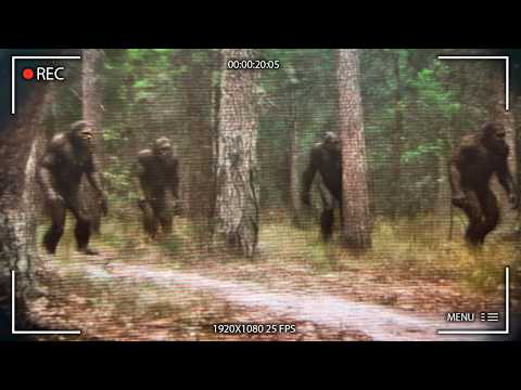 NEW Bigfoot Footage Caught On Camera In Washington Changes EVERYTHING!
