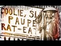 Chinese Slaves In America Forgotten History