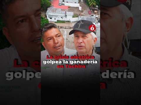 ⚡🐄 24 HORAS SIN LUZ… ¿Y LA LECHE?
