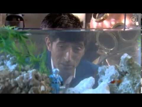 Faszination Wissen: Tiefenrausch - wenn Tauchen tödlich wird