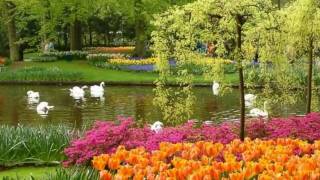 A Growing Time ~ Dan Fogelberg