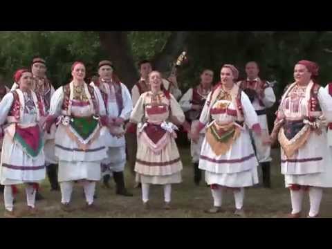 Najavljujemo/Announcing 49.MSF/IFF, 15.-19.7.2015., Zagreb