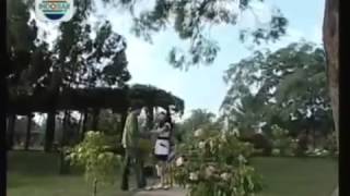 Download lagu Temmy Rahadi ' Suara Hati mp3