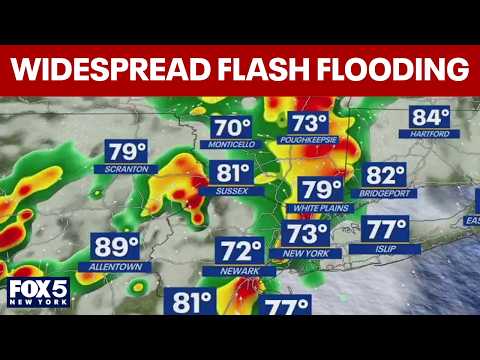 Queens Hourly Weather