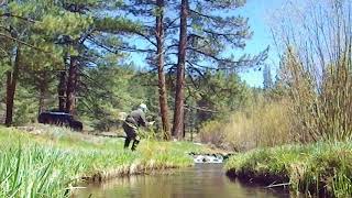Stalking Trout Tenkara Style