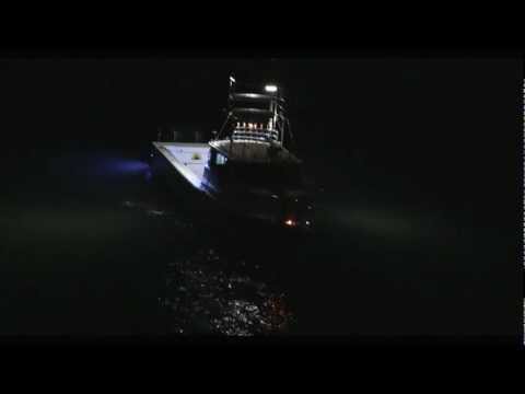 Rigid Industries Introduces the M-Series Marine Light!
