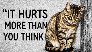 9 Everyday Things That HURT Your Cat (Number 5 Will Shock You)