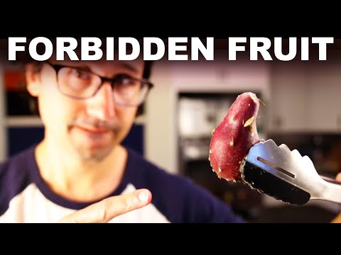 YouTube video about: Can dogs eat prickly pear?