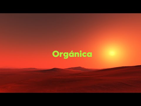 #Orgánica Deep House #3 African, Black Coffee, Zuma Dionys, Feater - Spotify Playlist DJ SET - 2021