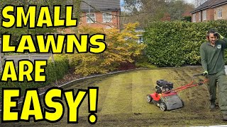 These SMALL LAWNS are EASY To Revitalise Even For Beginners!