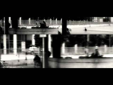 LION INACCESIBLE -  Scheiß auf eure Gesellschaft