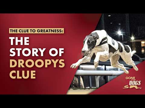 The Clue to Greatness? The Story of Droopys Clue