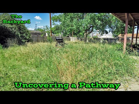 City Enforcer Officer asked me to cut this backyard, so I did it for FREE | FREE City Violation Mow