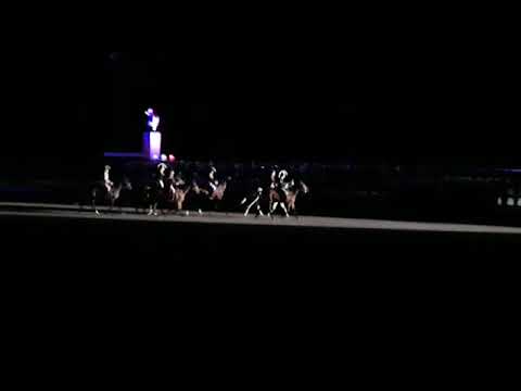 ceremonie du Triomphe baptême de la promotion colonel le cocq