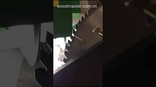 Máy mài lưỡi cưa đĩa hợp kim tự động ( mài lưng răng cưa )