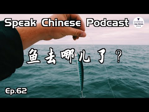 誰偷走了我的魚？