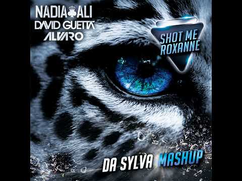 DAVID GUETTA vs NADIA ALI vs ALVARO & JOEY DALE vs MEHRBOD ready for shot me roxanne (da sylva ma...