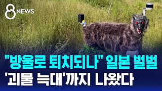 "방울로 퇴치되나" 일본 벌벌..'괴물 늑대'까지 나왔다 / SBS 8뉴스