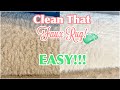 HOW TO CLEAN YOUR WHITE FAUX FUR RUG AT HOME Easy DIY Restore Faux Fur