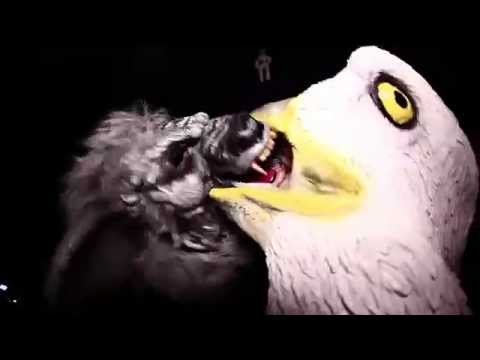 Ninja Kore TV - Episode 1