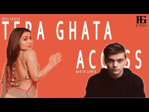 Tera Ghata X Access Mix By Hitesh Patel  | Neha Kakkar | Martin Garrix