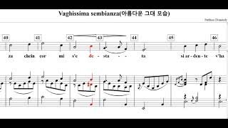 Vaghissima sembianza(아름다운 그대 모습)-Stefano Donaudy