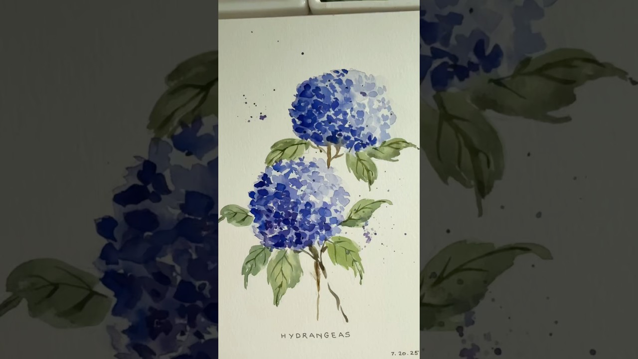 Learn to paint loose hydrangeas #short #shortsyoutube #watercolorartist