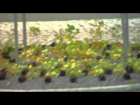 Tiistai huomenta 2.9.2014