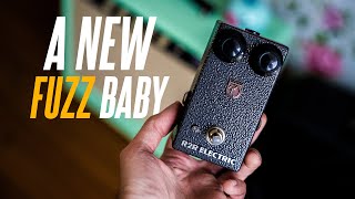 Video thumbnail for A Fuzz Face and a Schaller Distorter had a baby! The R2R Electric Si Distorter! by Sasha Ivantic
