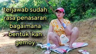 Download lagu Bikin ketagihan bila mancing pakai umpan ini, ikan pada pasrah mp3 Download lagu Bikin ketagihan bila mancing pakai umpan ini, ikan pada pasrah mp3