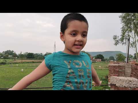 Nature poem by shaivya