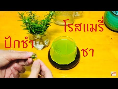 เพิ่มให้กับสมาชิก เพิ่มฮอร์โมนสมาชิก