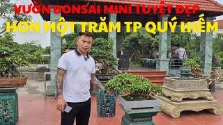 Download lagu Beautiful mini bonsai garden - Over 100 rare works. Tel: 0522169999 mp3