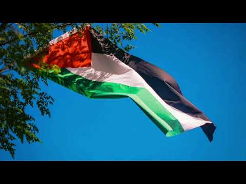 Leve Palestina Crush zionism - Kofia Lyrics (English/Turkish/Swedish)