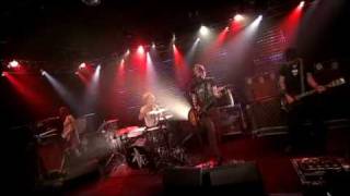 The Dandy Warhols - Wasp In the Lotus (Excellent Live version)