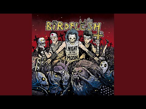 Night of the Ultimate Mosh - Birdflesh