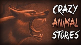 7 True Scary Animal Encounter Horror Stories