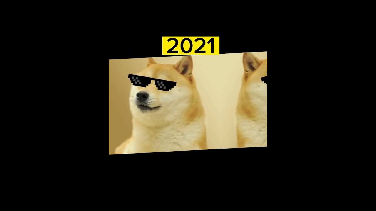 Doge evolution