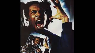 Busta Rhymes - What the fuck you want!!
